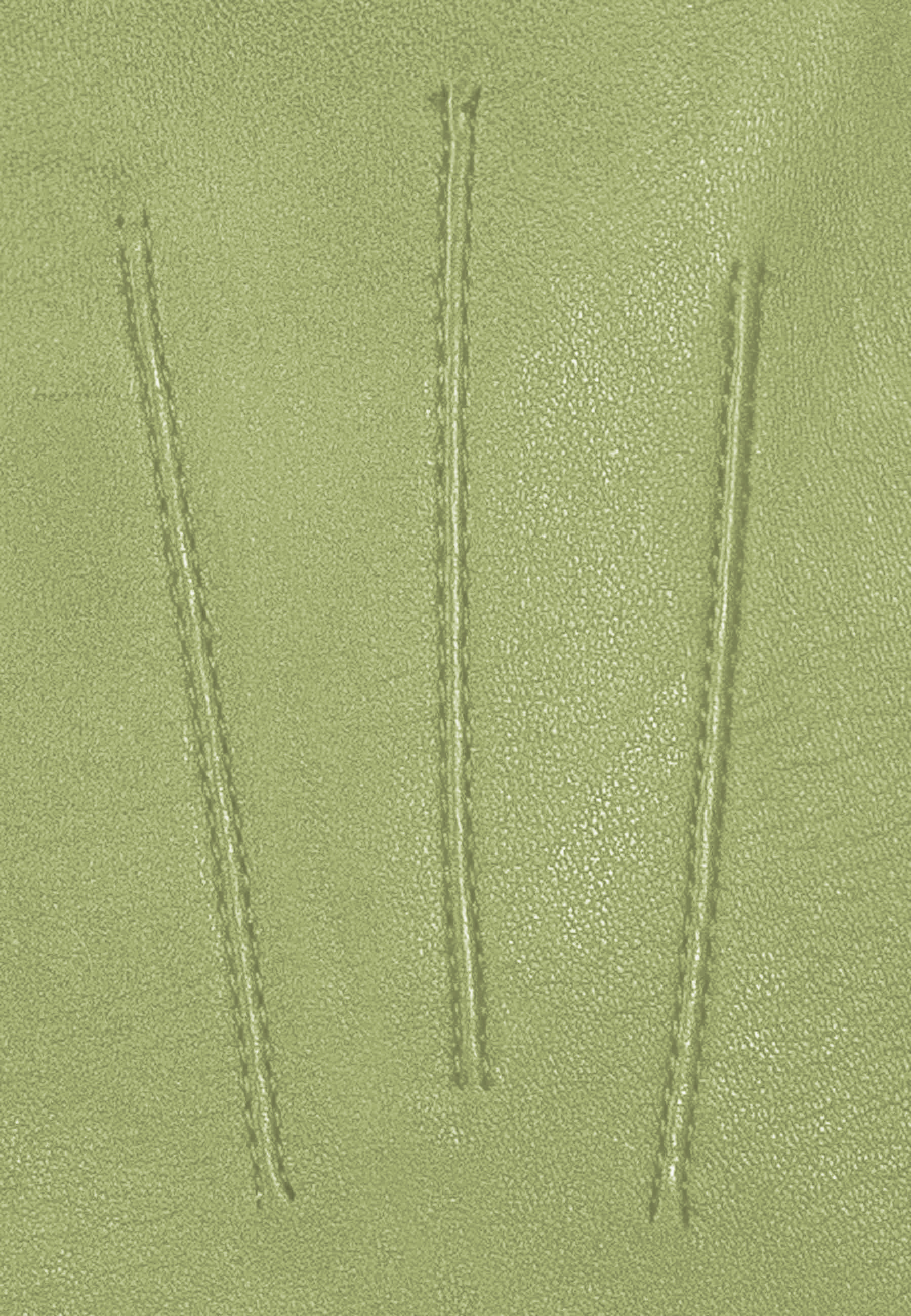 Kessler MIA Lederhandschuh Damen matcha Leder Kessler MIA Lederhandschuh Damen matcha Leder